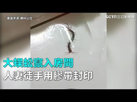 房間裡有蜈蚣|【蜈蚣在房間】蜈蚣闖入房間怎麼辦？驚見不速之客的。